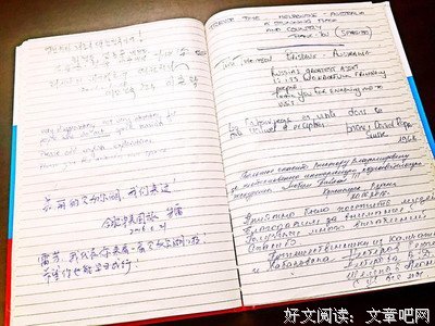《风吹柳树静》经典观后感1000字
