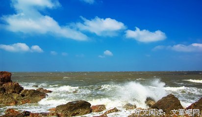 《浪花》经典观后感集