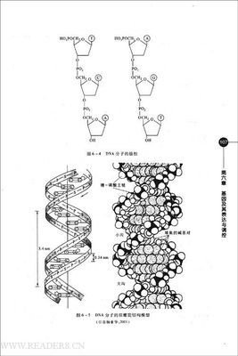 《社会生物学》的读后感大全