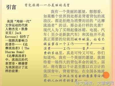 达摩流浪者读后感精选
