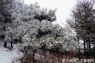 没能留住你，抱歉。