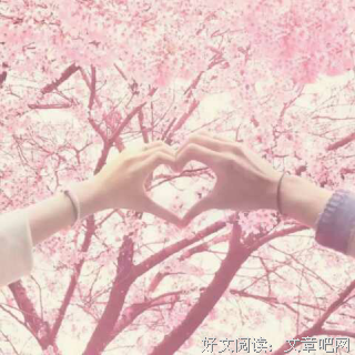 《七夕之夏》经典观后感有感