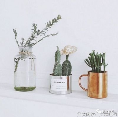 描写昏迷不醒的语句摘抄