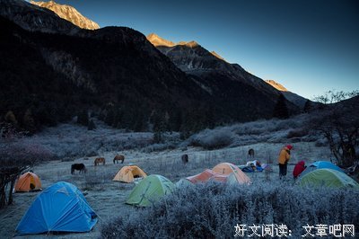 零星片语