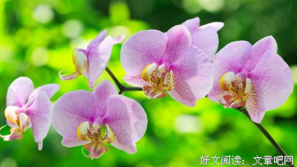 哪个二百五取的名字，真的太有才了！