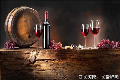 马伯乐的读后感大全