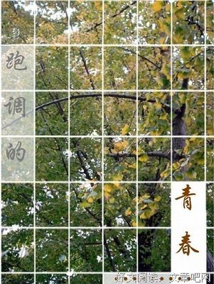 草样年华经典读后感有感