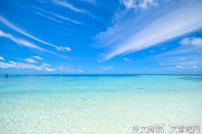 《留德十年》读后感锦集