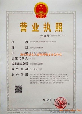 2019海伦·麦格然西一想也名言