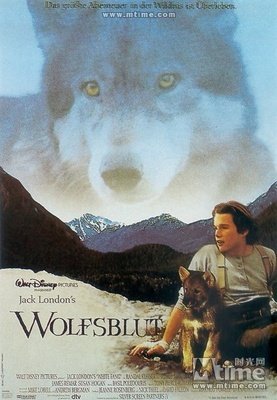 《雪地黄金犬》影评摘抄