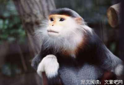 《我愿这样生活》影评100字