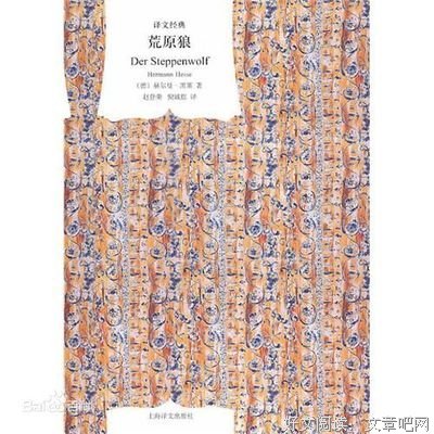 荒原狼读后感100字