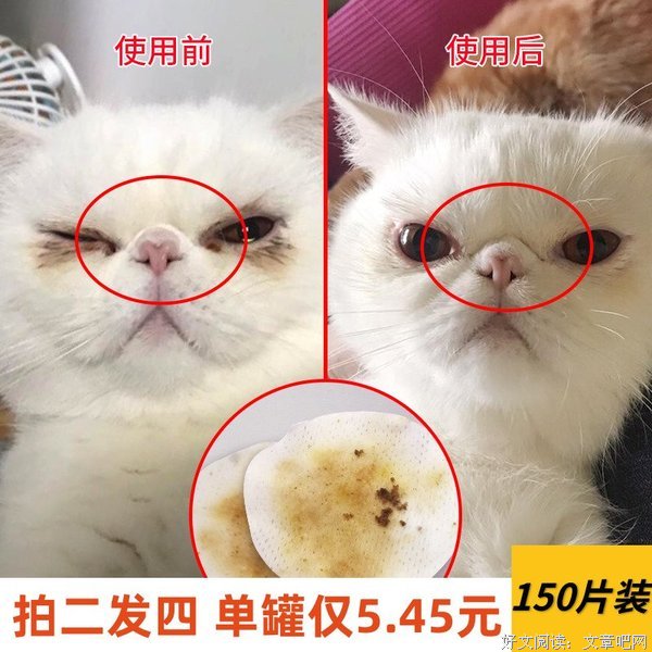 《泪痕》经典影评有感