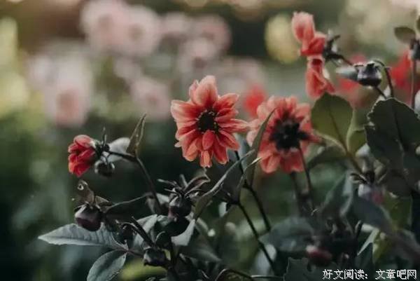 愿你活得轻松，老的漂亮