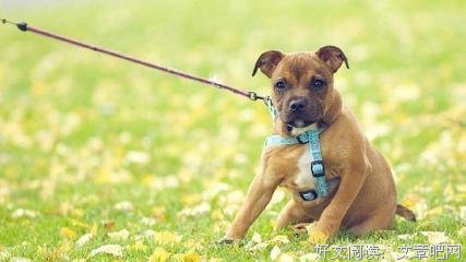 关于天昏地暗的唯美语录