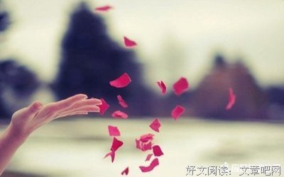 天花乱坠的语句摘抄_关于天花乱坠的语句