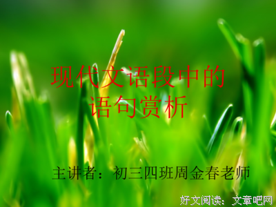 《现代文》的句子