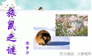 《中国橘子之谜》读后感精选