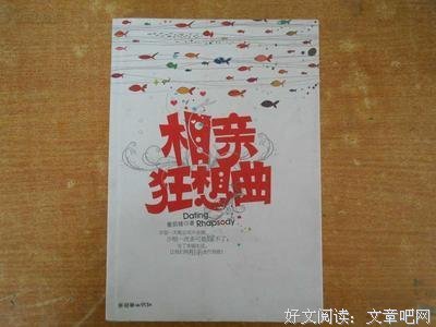 相亲狂想曲经典读后感有感