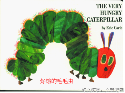 好饿的毛毛虫读后感摘抄