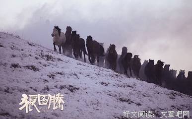 《狼战》读后感摘抄