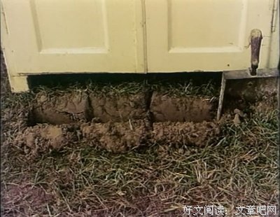 《与魏茨曼野餐》经典观后感1000字