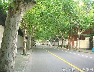 最全的《生命简史》好段摘抄
