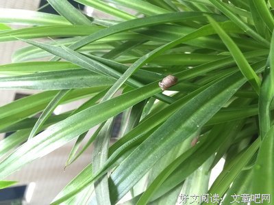 爱情谏言的句子