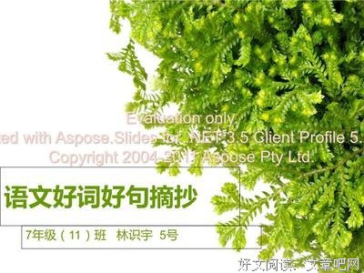 理想犹在好词好句