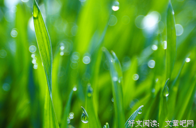 这月真年时四下作些触动心扉的好词好句