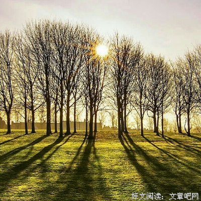 关于繁荣的格言