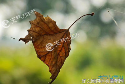 有关格格不入的美文美句摘抄