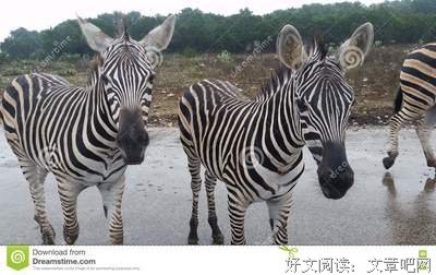 恍然大悟的语句摘抄_关于恍然大悟的语句