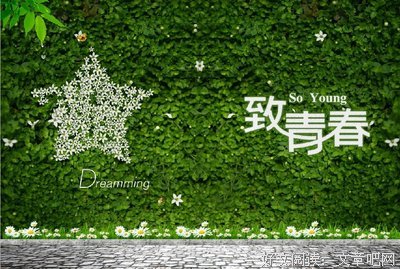 关于致青春的句子