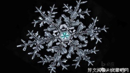 钝感力读后感1000字