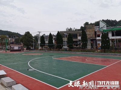 《野草在歌唱》读后感锦集