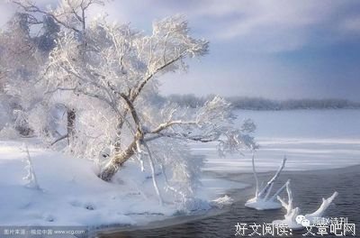 2019沈苇的名言