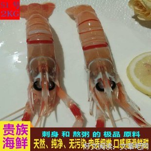 《斯干》读后感精选
