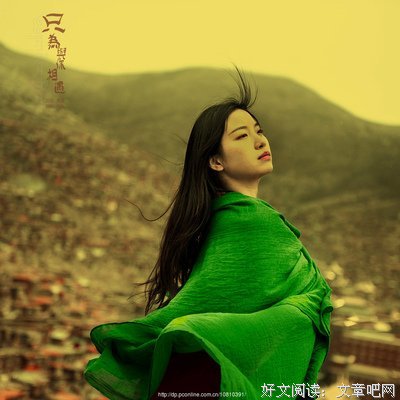 《只为与你相遇》读后感锦集