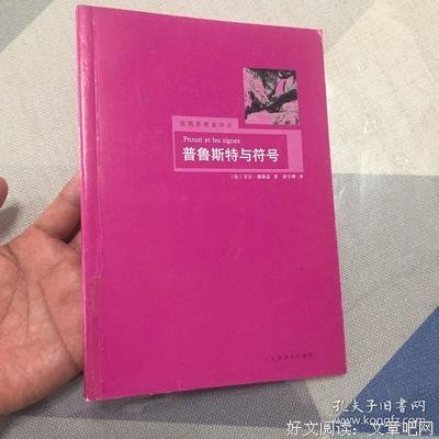 普鲁斯特与符号读后感锦集