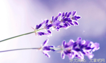 此去经年经典名句
