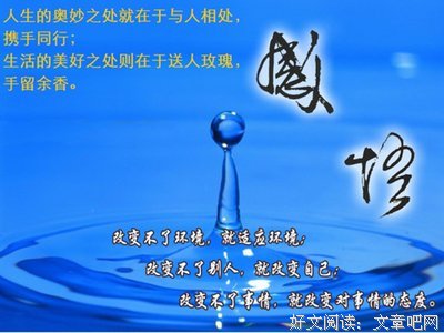 心呈句子大全
