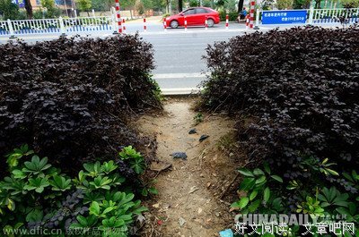 《五道障碍》影评摘抄