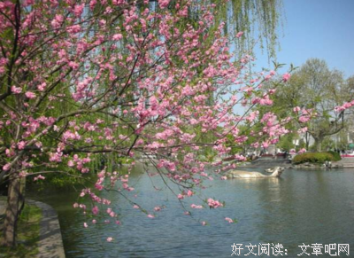 戛然而止的语句摘抄_关于戛然而止的语句
