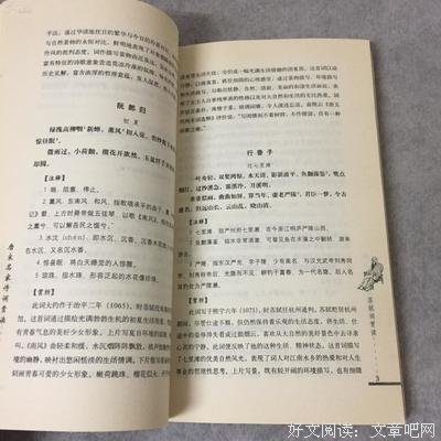 赏读 | 女人，请把自己活成一道风景