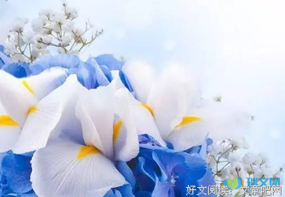 我爱的唯美优美的句子