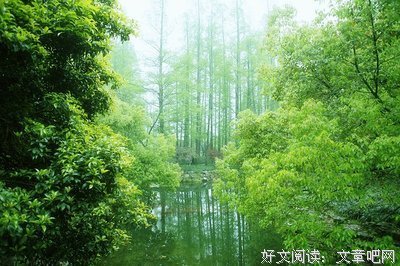 张爱玲好词好句