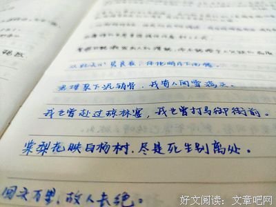 。句子迷