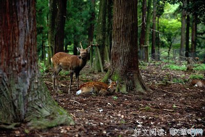 嫁入豪门13天丧偶，二婚后放任丈夫鬼混，她的人生有点刺激