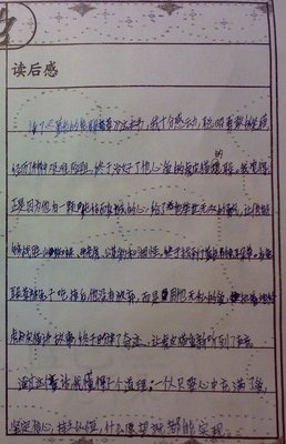 《人淡如菊》读后感精选